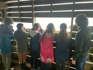 Sortie ornithologique sur la Baie de Saint-Brieuc whatsappimage2025-03-28at0918071
