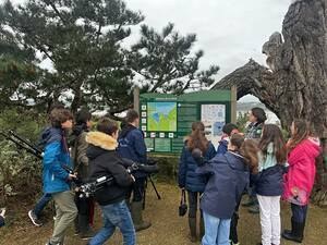Sortie ornithologique sur la Baie de Saint-Brieuc whatsappimage2025-03-28at091807